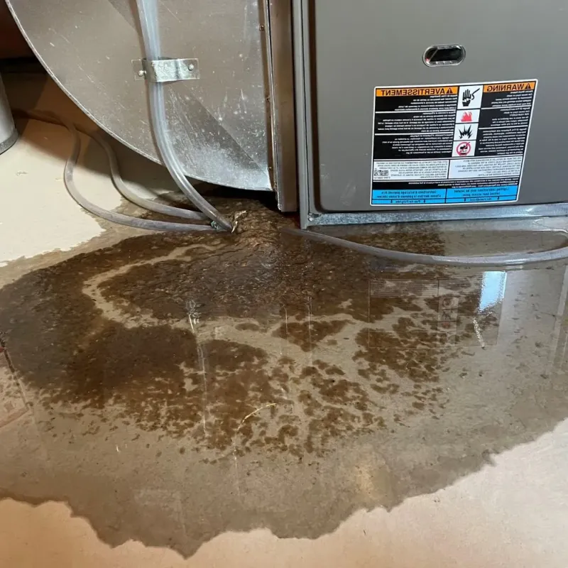 Pipe Burst and Leak Restoration in Sunset Hills, MO